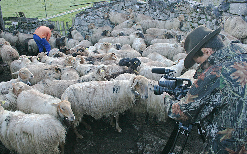 Spain-picos-de-europa-documentary-film-script-design-location-filming