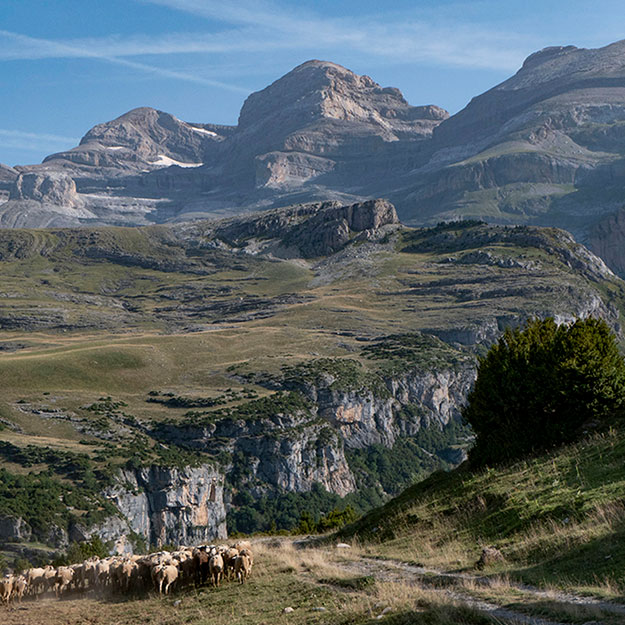 Pyrenees-ordesa